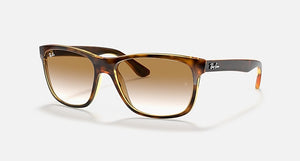 RAY-BAN RB4181 POLISHED LIGHT HAVANA/BROWN, 57