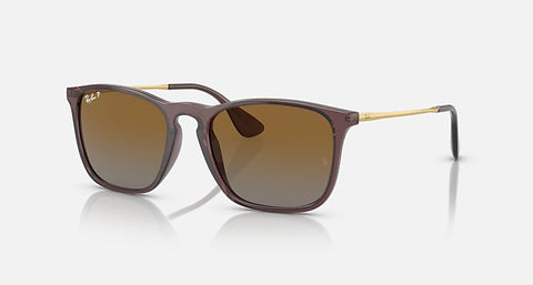 RAY-BAN CHRIS POLISHED TRANSPARENT BROWN/BROWN, 54