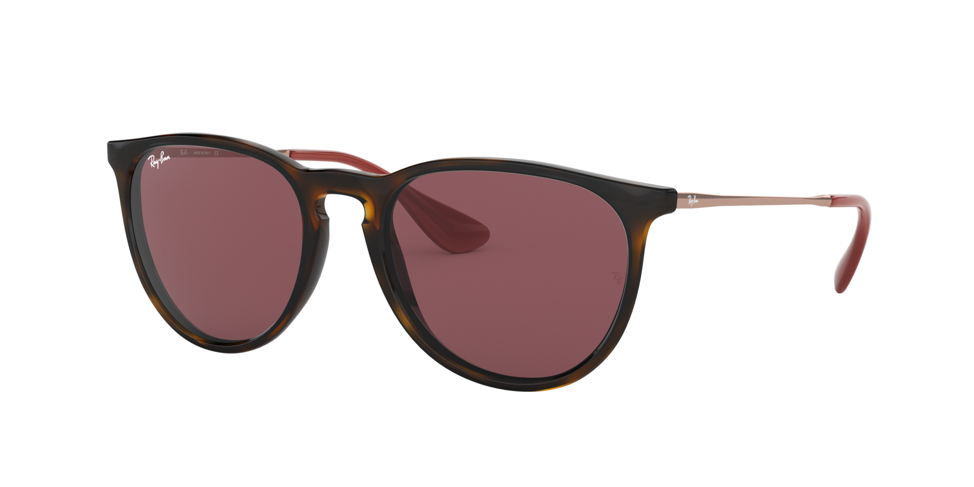 RAY-BAN ERIKA CLASSIC Sunglasses in Havana and Dark Violet 54