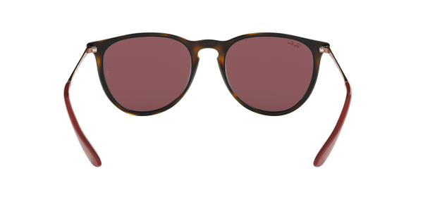 RAY-BAN ERIKA CLASSIC Sunglasses in Havana and Dark Violet 54