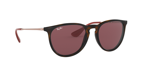 RAY-BAN ERIKA CLASSIC Sunglasses in Havana and Dark Violet 54