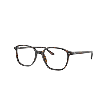 RAY-BAN LEONARD POLISHED HAVANA CLEAR/GREY TRANSITIONS, 53