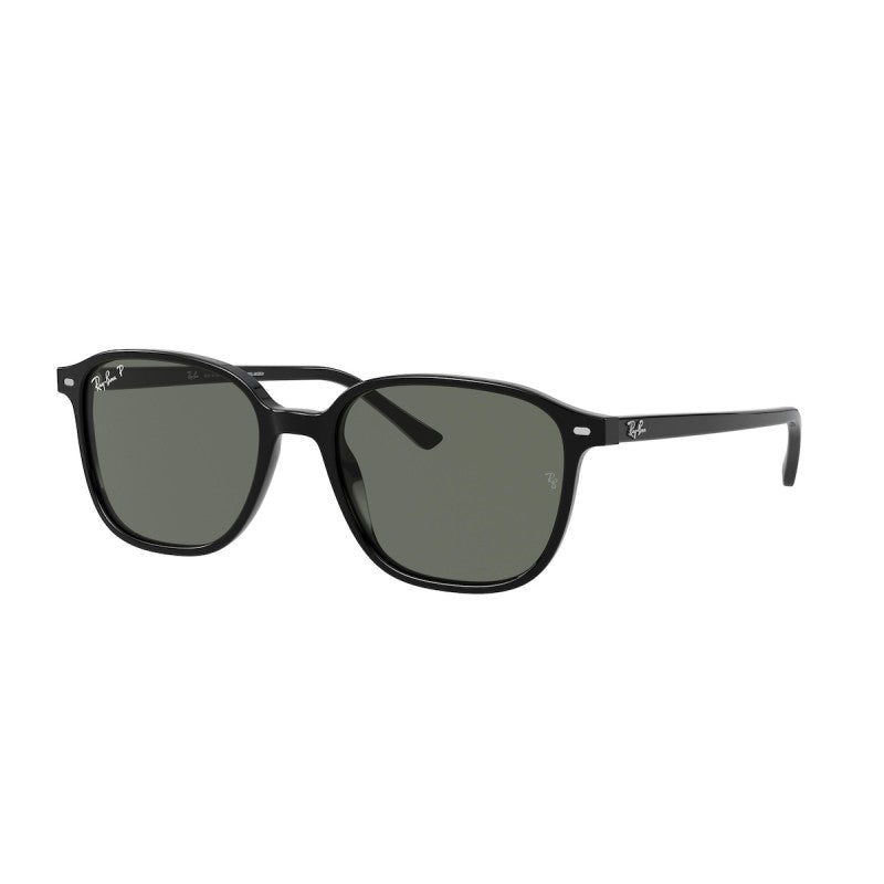 RAY-BAN LEONARD POLISHED BLACK/G-15 GREEN, 51